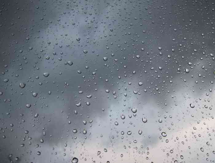 IMG_2877-version blog