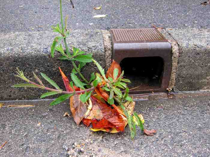 Naissance d'une terre0-version blog