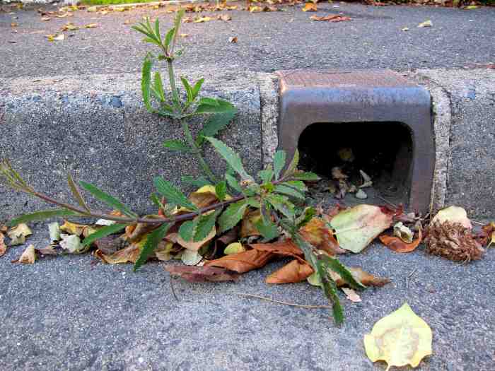 Naissance d'une terre1-version blog