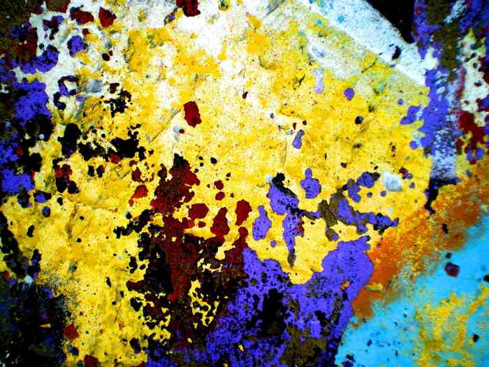 IMGP0301-version blog