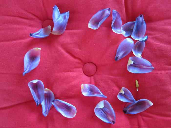 img_2909-version-blog