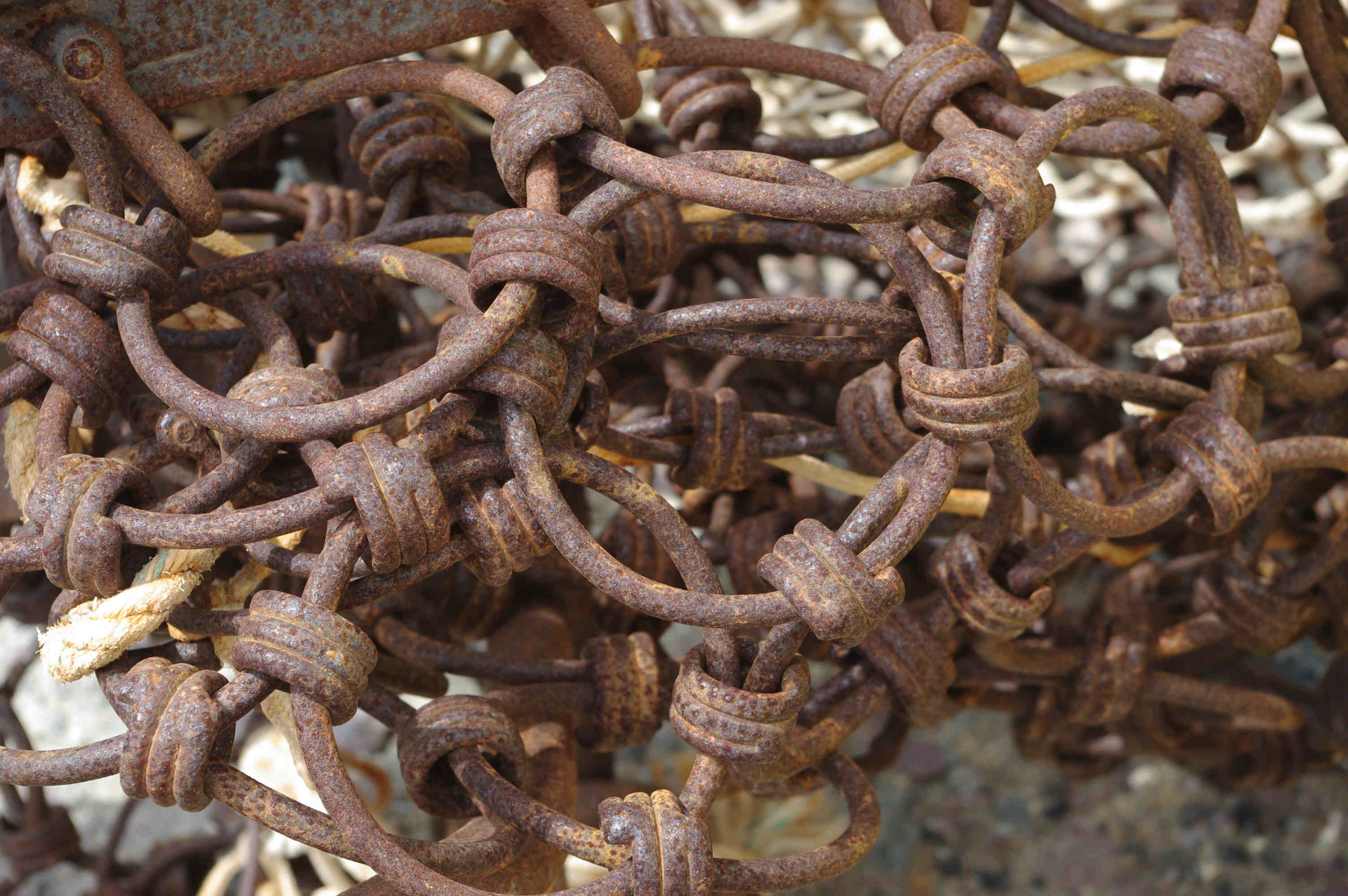 IMGP0625-version blog