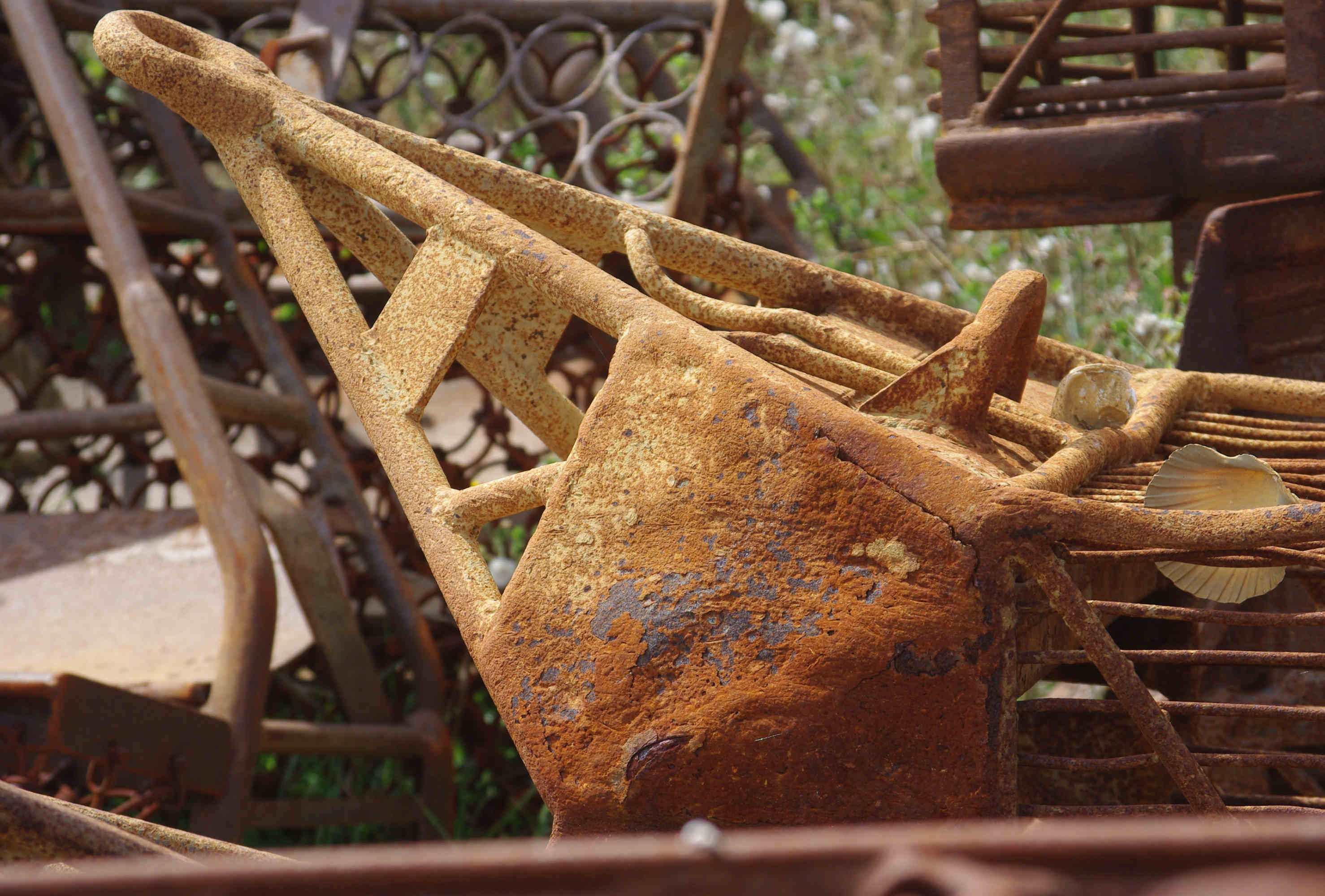 IMGP0632-version blog