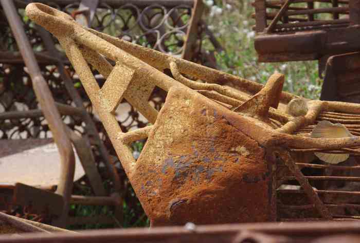 IMGP0632-version blog