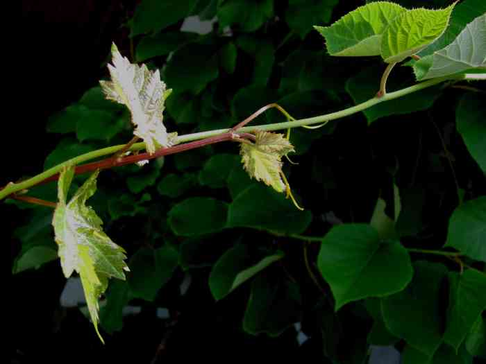 IMG_4756-version blog