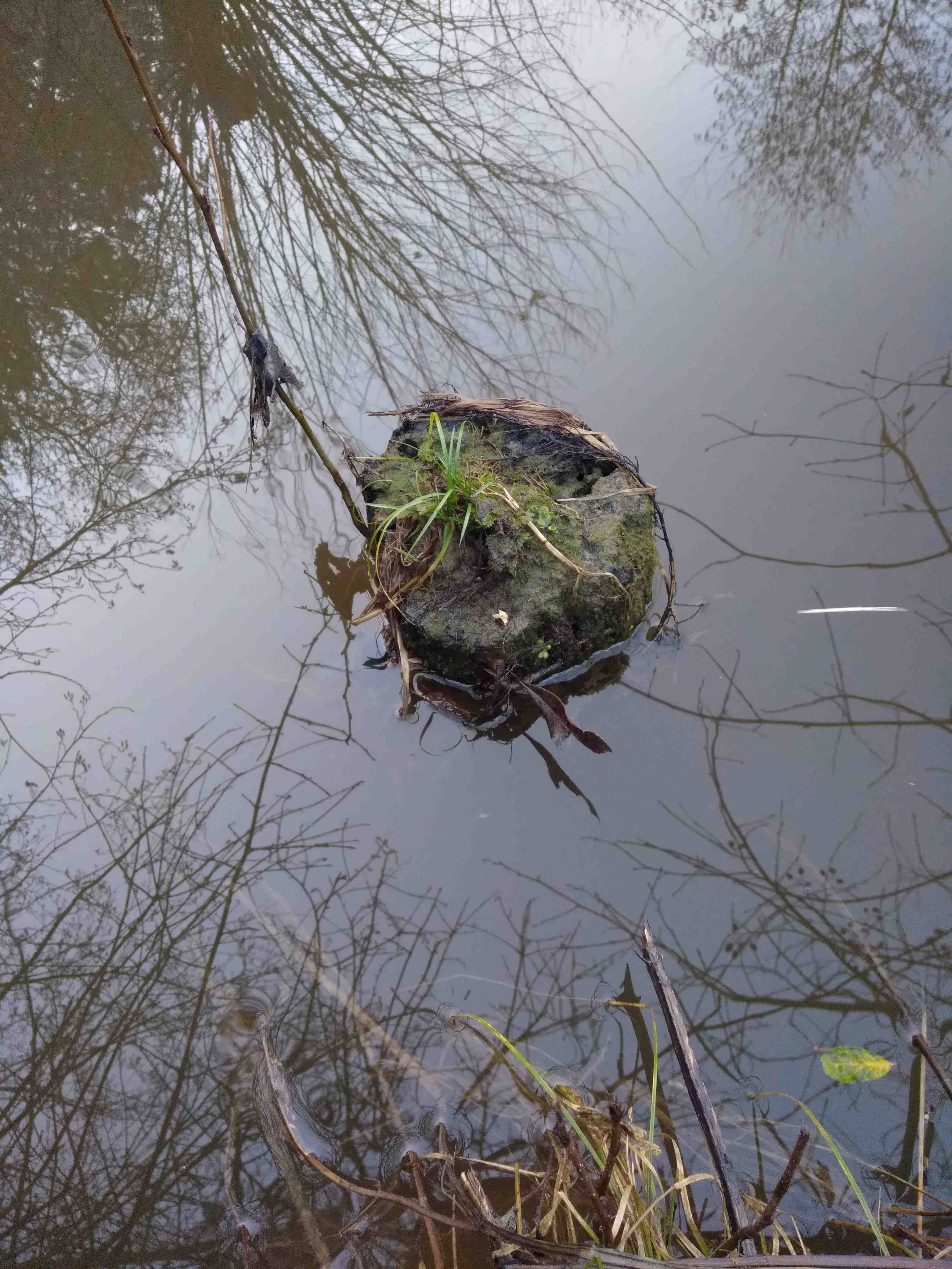 Déluge-version blog