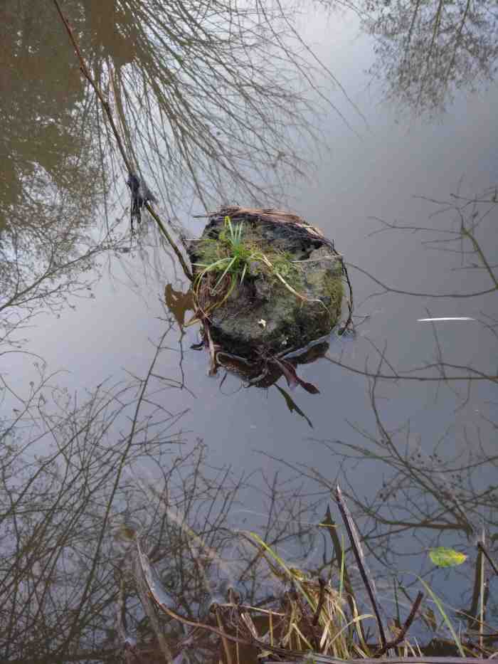 Déluge-version blog