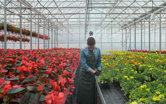 horticulture_1_1230-775