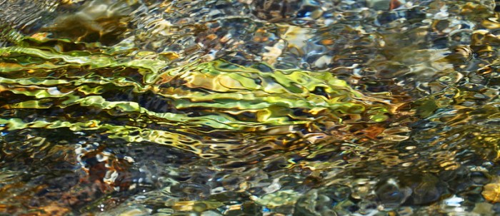 28209630188_6c2884fcef_c