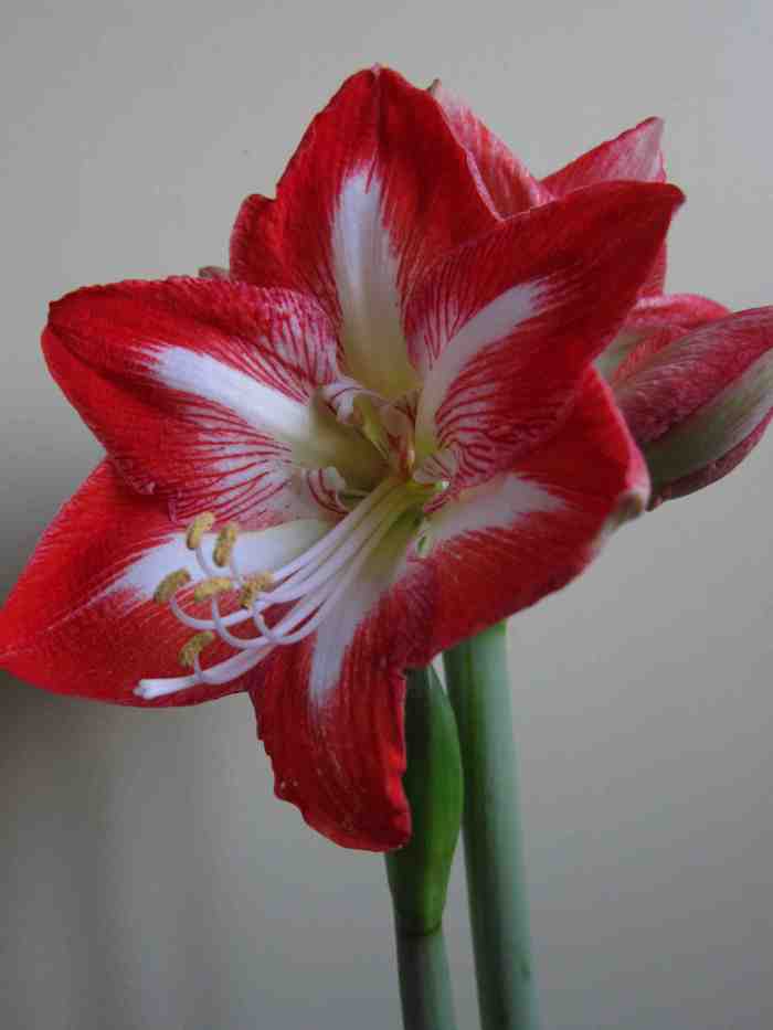 IMG_5155-version blog