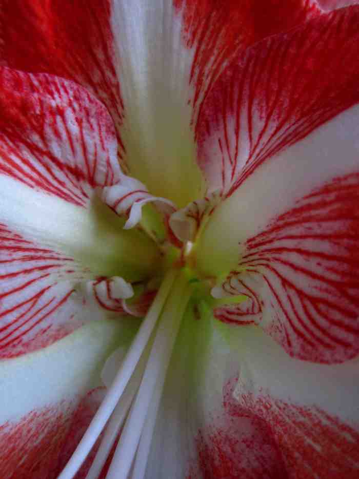 IMG_5156-version blog