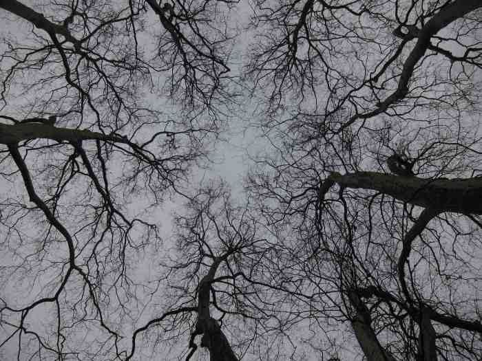 IMG_5159-version blog