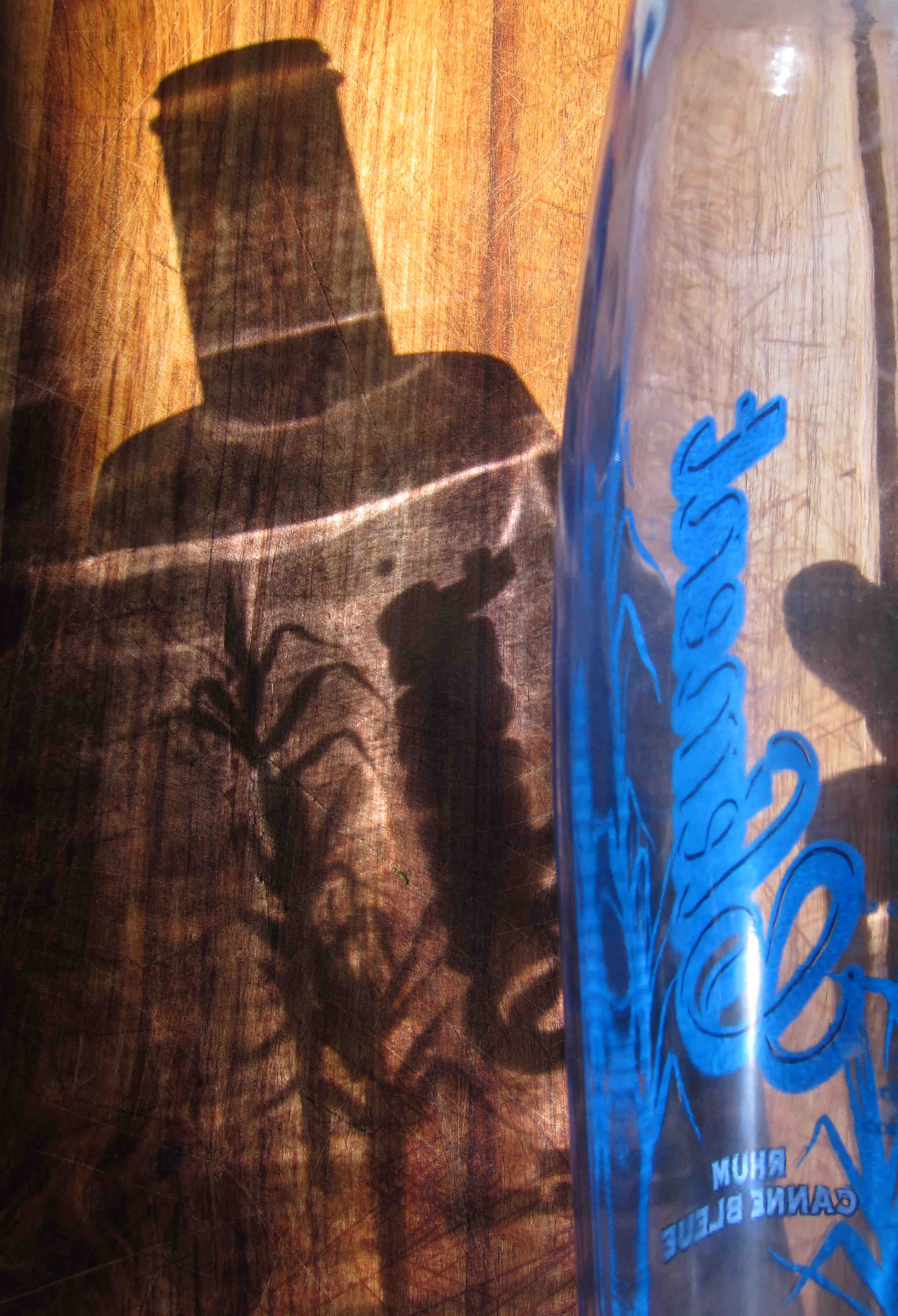 IMG_5231-version blog