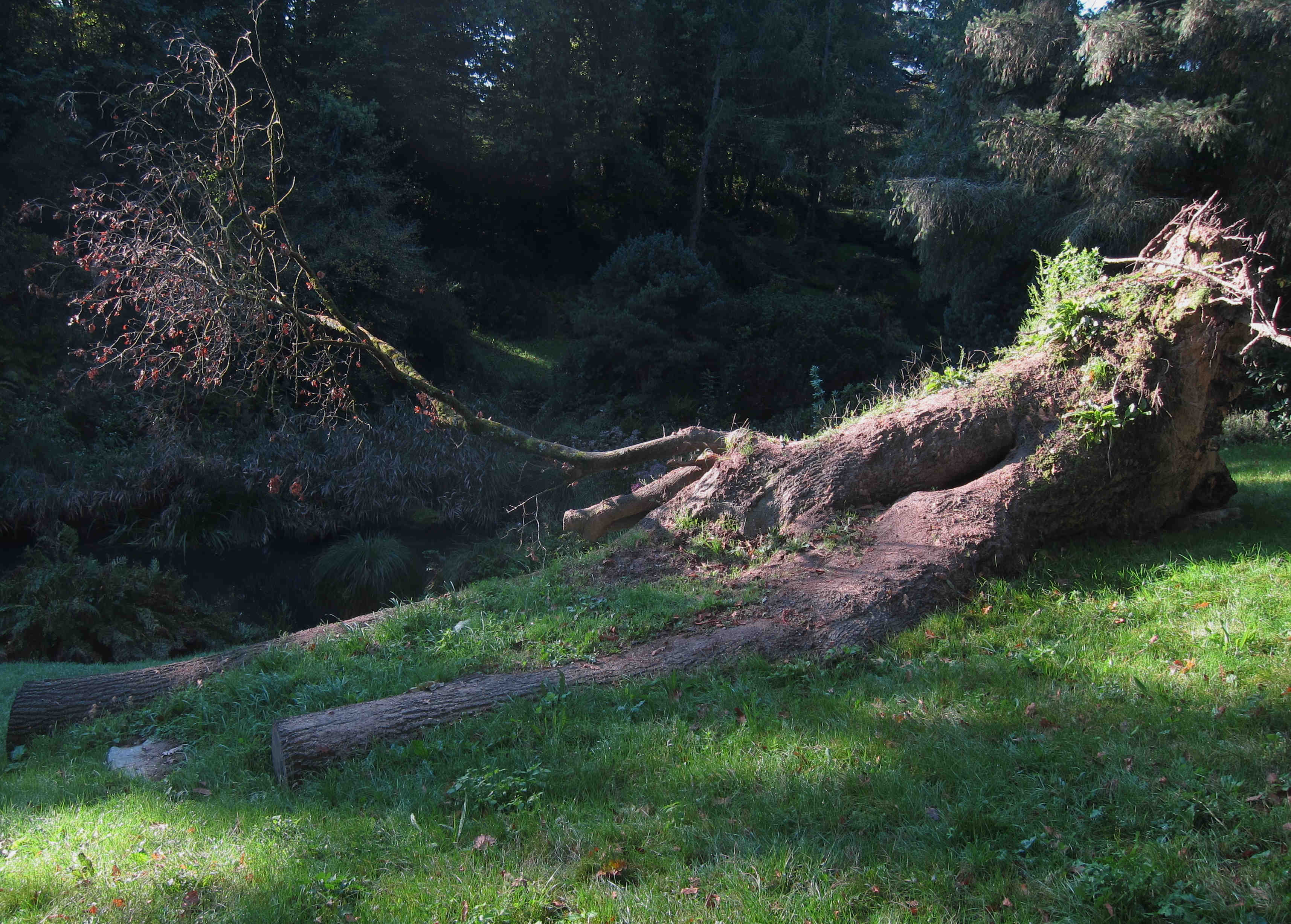 IMG_5300-version blog